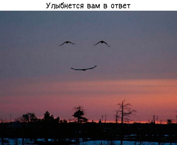 Невероятной красоты пост про улыбку)
